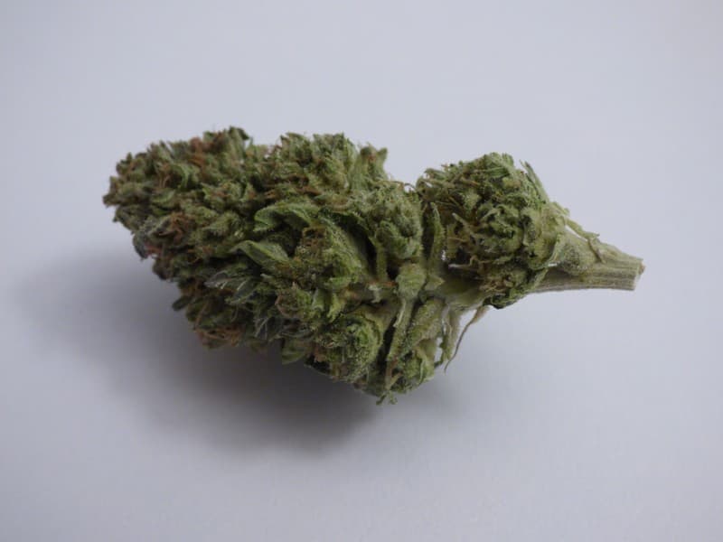 Cherry Kush cannabis strain, community photo 1