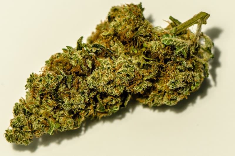 Cherry Kush cannabis strain, community photo 2