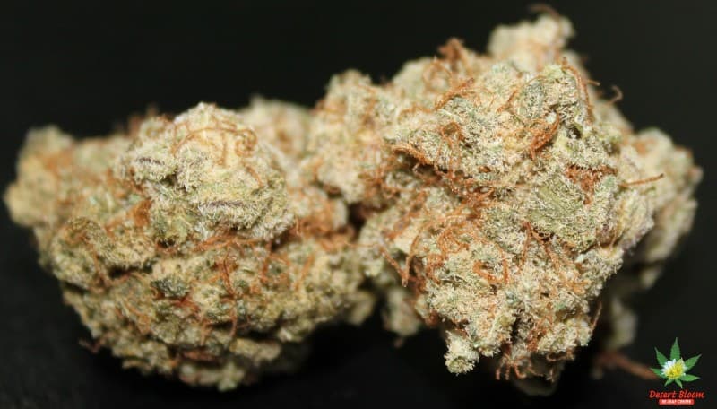 Cherry Kush cannabis strain, community photo 4