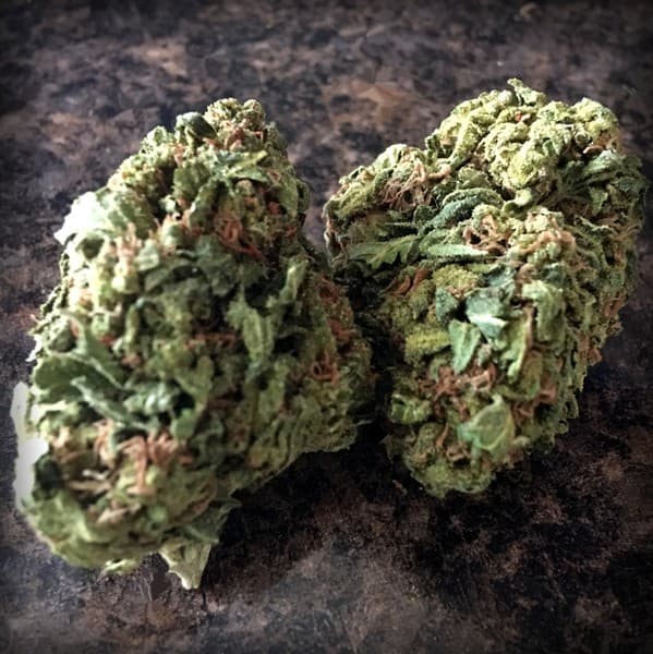 Cherry OG cannabis strain, community photo 1