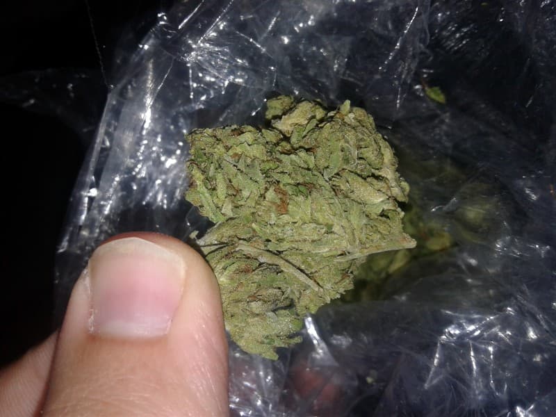 Cherry OG cannabis strain, community photo 5