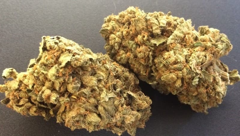 Cherry OG cannabis strain, community photo 6