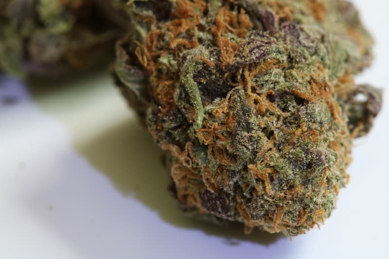 Cherry Pie cannabis strain, community photo 2