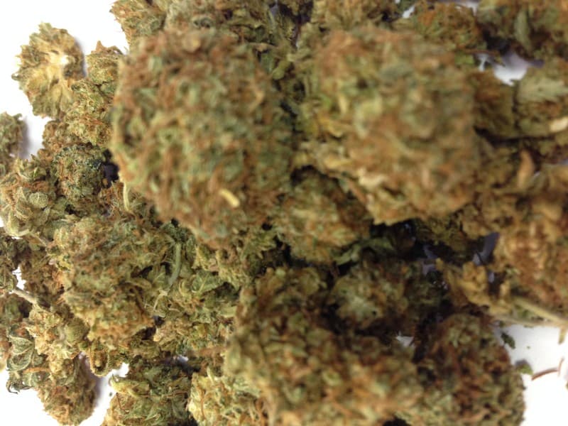 Cherry Pie cannabis strain, community photo 7