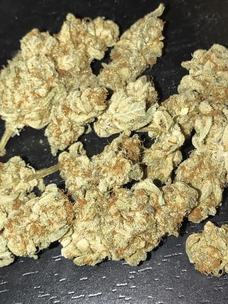 Cherry Pie cannabis strain, community photo 8