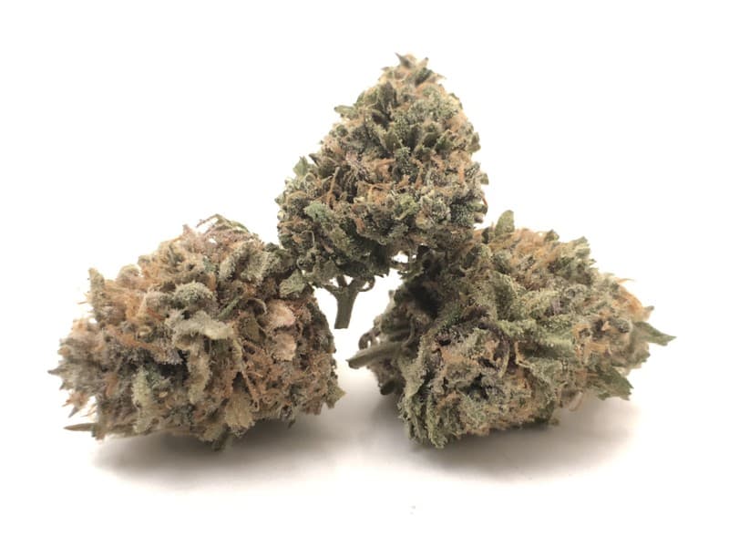 Cherry Pie cannabis strain, community photo 9