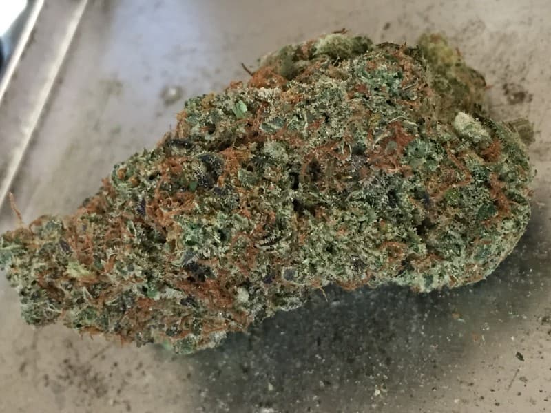 Citral Glue cannabis strain, community photo 1