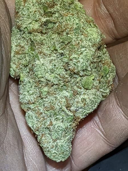 Citral Glue cannabis strain, community photo 3
