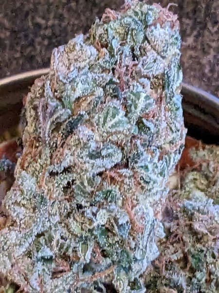 Citral Glue cannabis strain, community photo 6