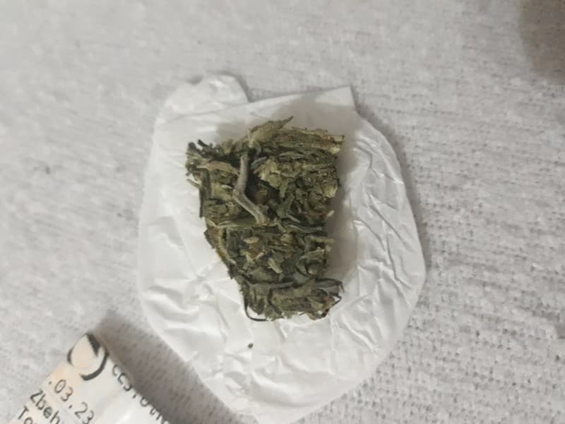 Citrus Kush cannabis strain, community photo 2