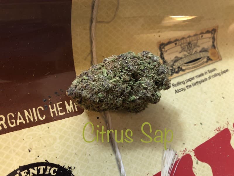 Citrus Sap cannabis strain, community photo 2