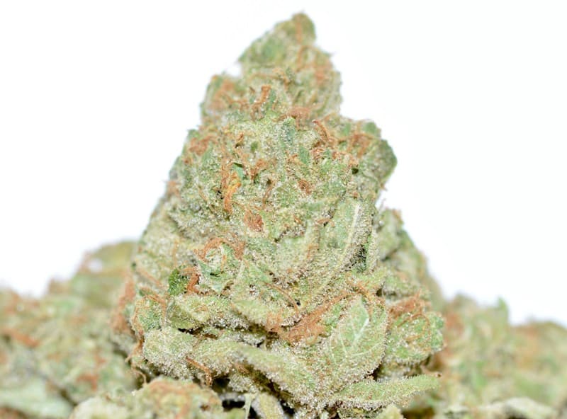 Clementine cannabis strain, community photo 2