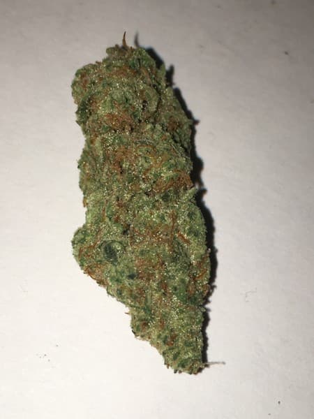 Clementine cannabis strain, community photo 3