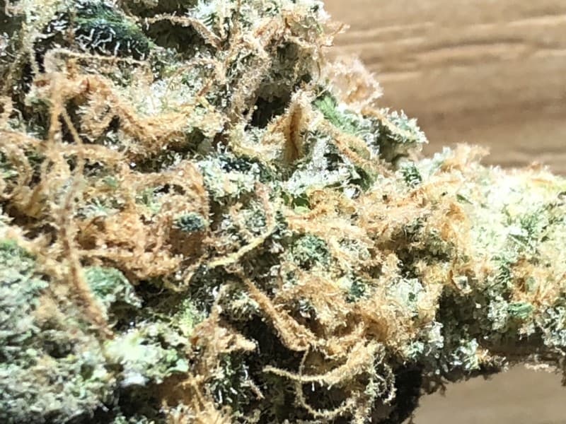 Clementine cannabis strain, community photo 4