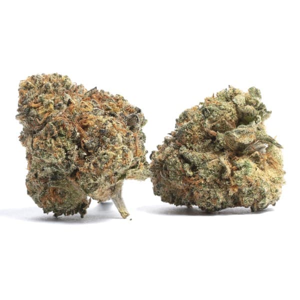 Collin's Ave cannabis strain, community photo 1
