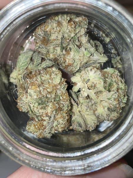 Collin's Ave cannabis strain, community photo 3