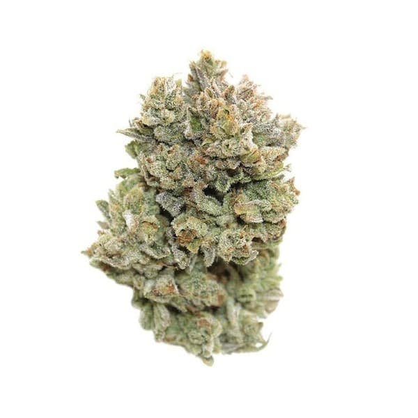 Cookie Glue cannabis strain, community photo 1