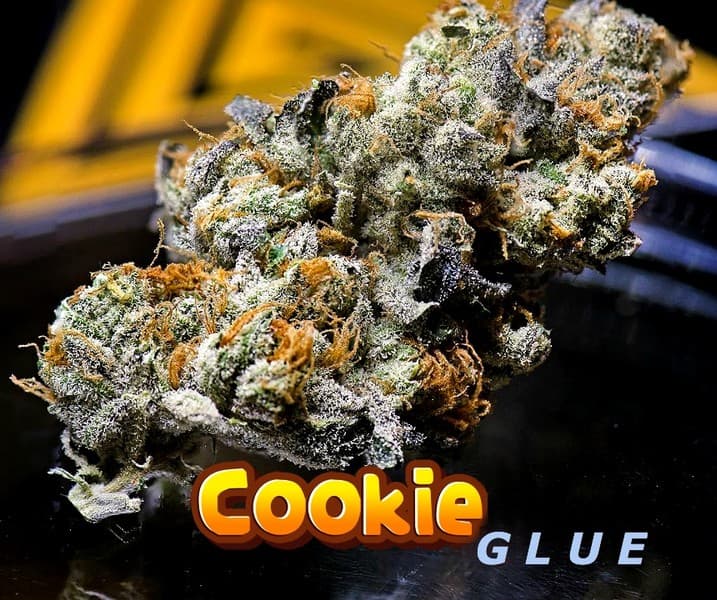 Cookie Glue cannabis strain, community photo 3