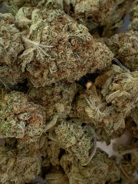 Cookie Glue cannabis strain, community photo 4