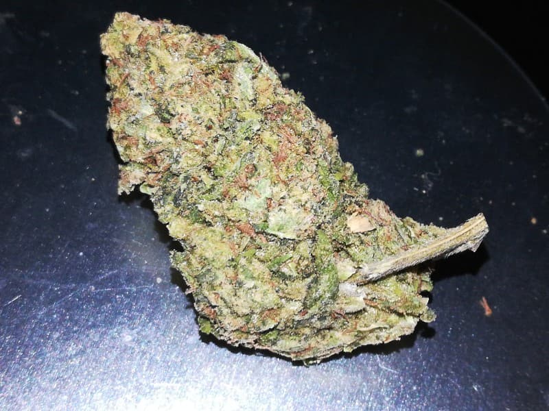 Cookie Glue cannabis strain, community photo 5