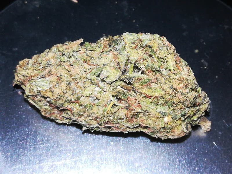 Cookie Glue cannabis strain, community photo 6