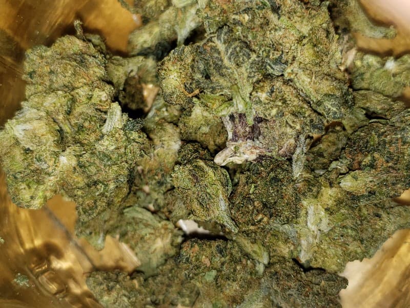 Cookie Glue cannabis strain, community photo 8