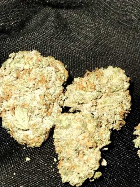 Crazy Glue cannabis strain, community photo 3