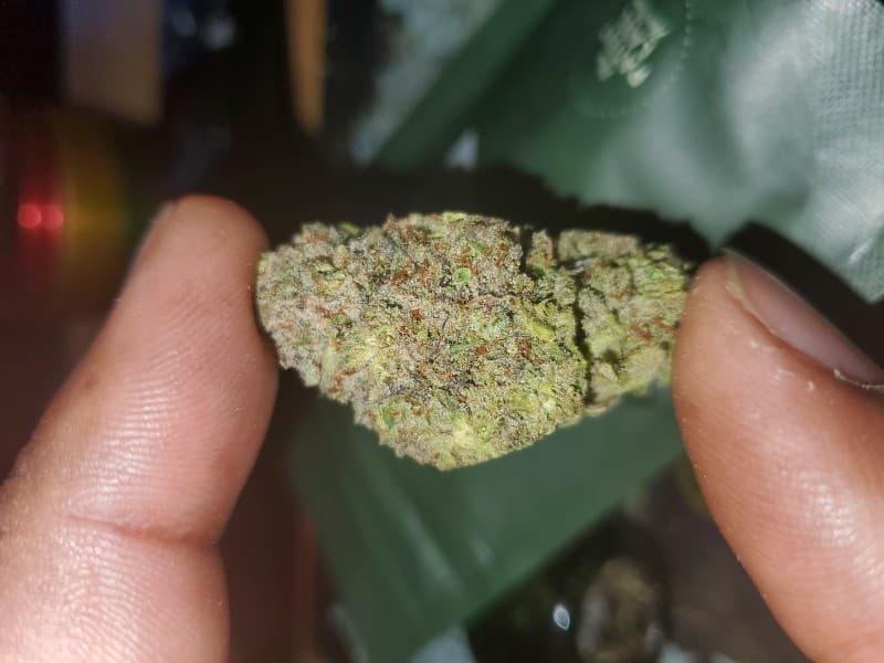 Crescendo cannabis strain, community photo 2