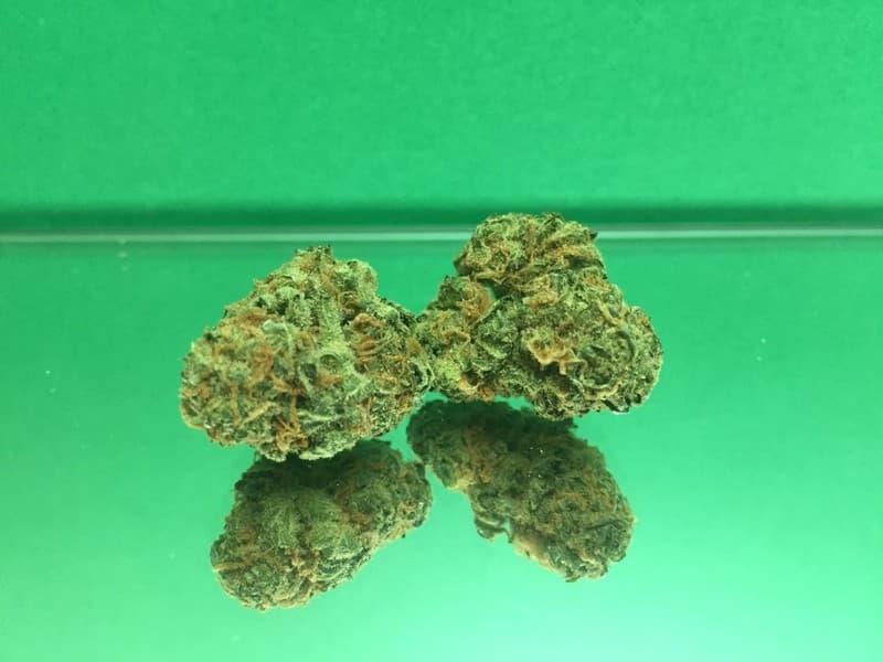 Dairy Queen cannabis strain, community photo 1