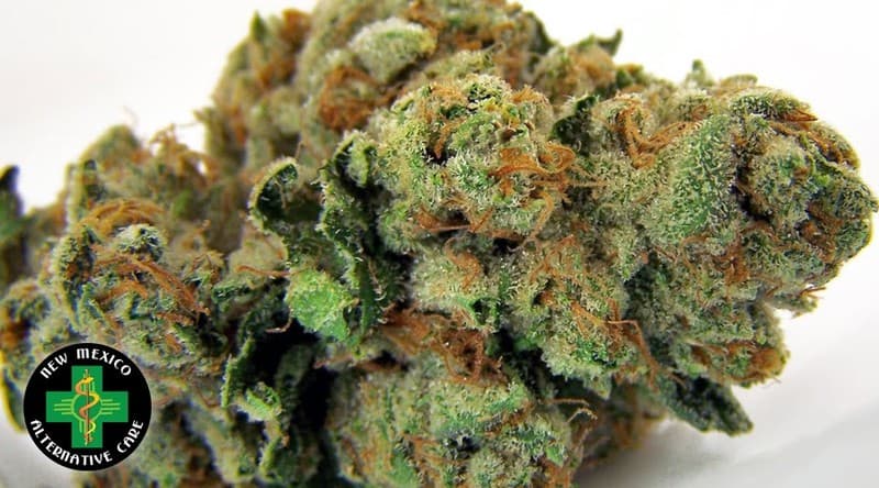 Dairy Queen cannabis strain, community photo 2