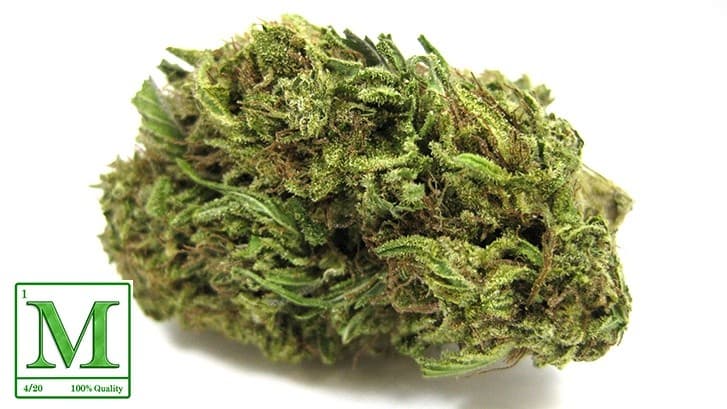 Dairy Queen cannabis strain, community photo 3