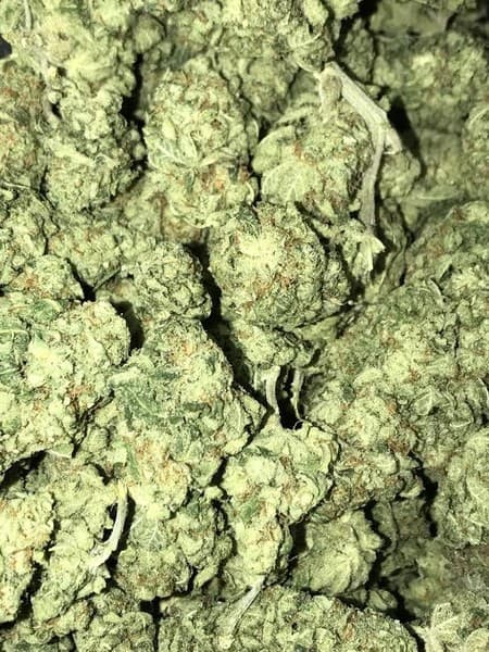 Dairy Queen cannabis strain, community photo 4