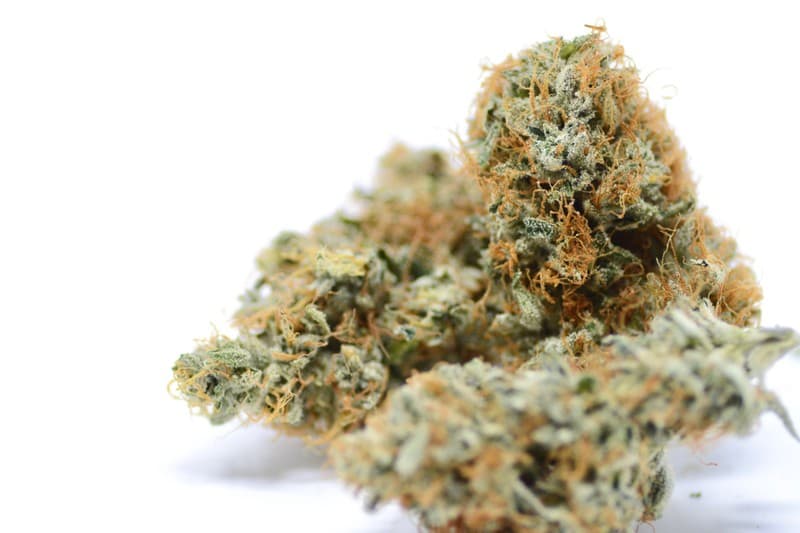 Dark Star cannabis strain, community photo 1