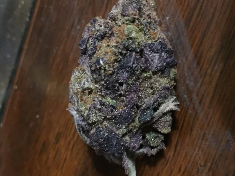 Dark Star cannabis strain, community photo 5