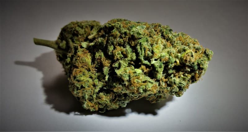 Dark Star cannabis strain, community photo 6