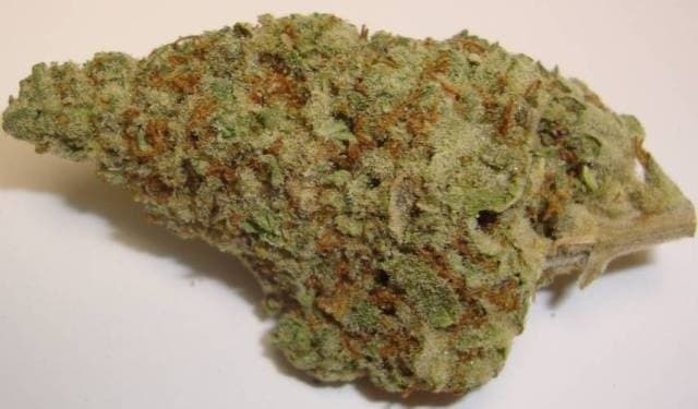Deadhead OG cannabis strain, community photo 1