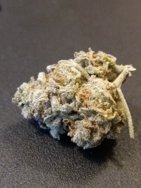 Deadhead OG cannabis strain, community photo 5