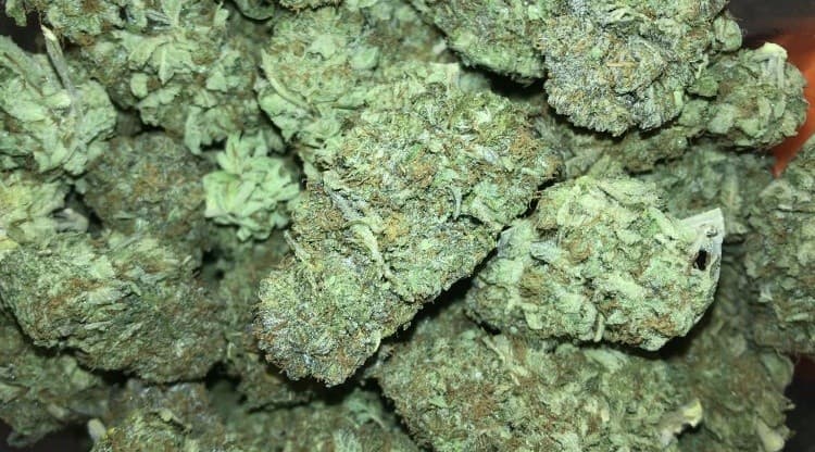 Death Bubba cannabis strain, community photo 2