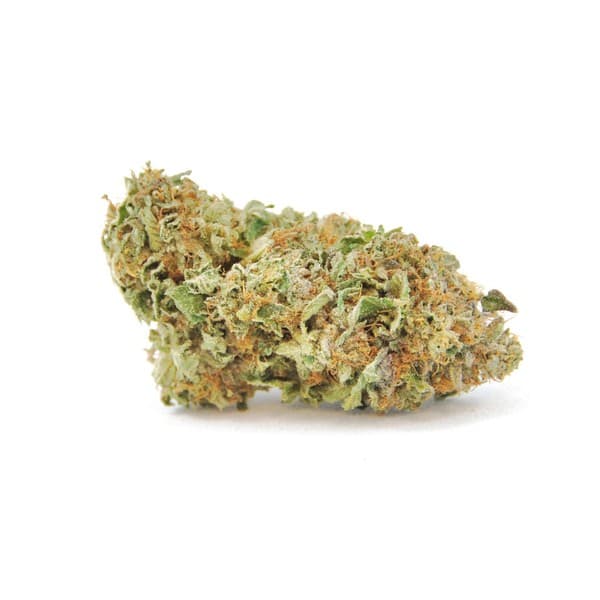 Death Bubba cannabis strain, community photo 5