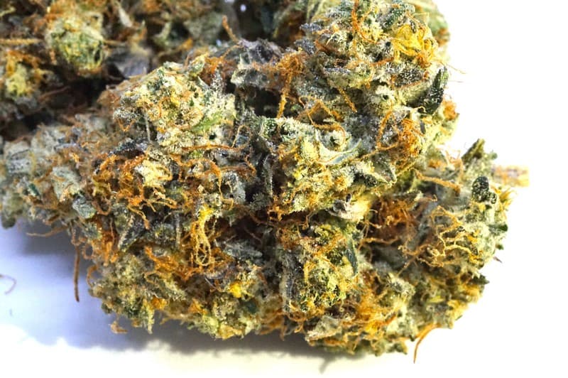 Death Bubba cannabis strain, community photo 6