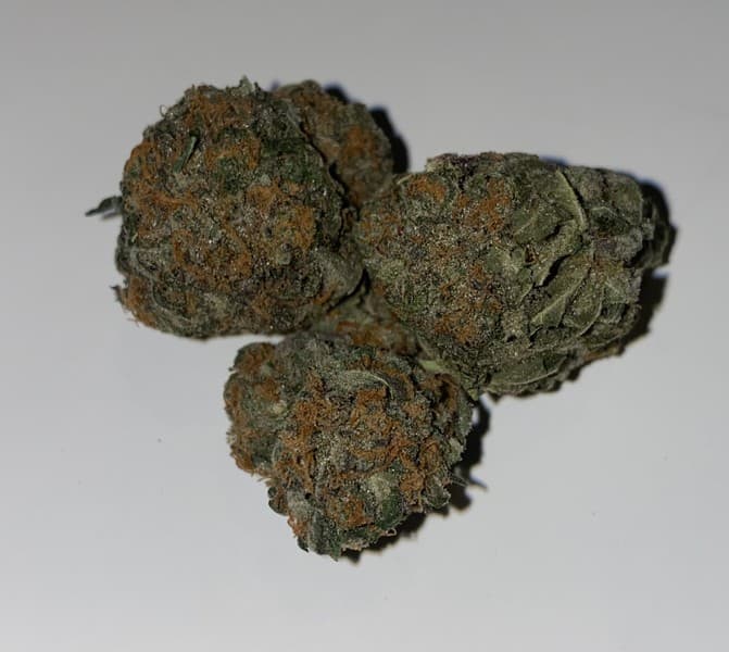 Death Bubba cannabis strain, community photo 8