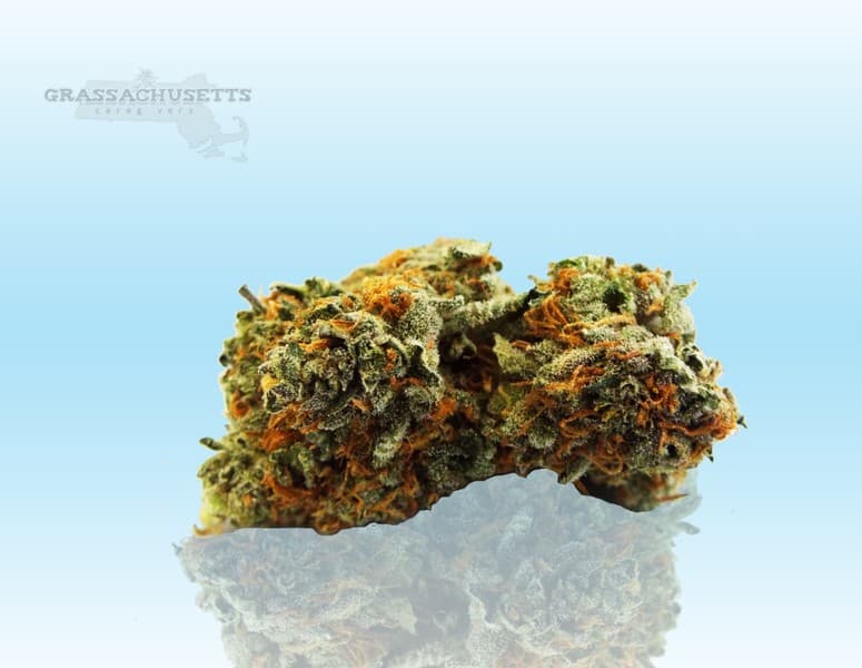 Death Star cannabis strain, community photo 1