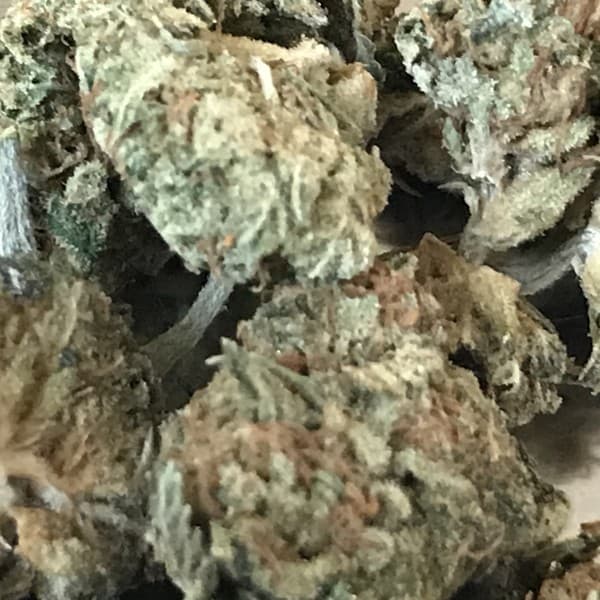 Death Star cannabis strain, community photo 2