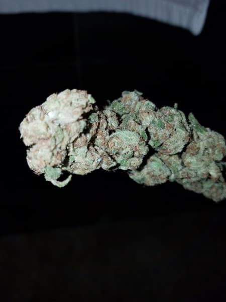 Death Star cannabis strain, community photo 8