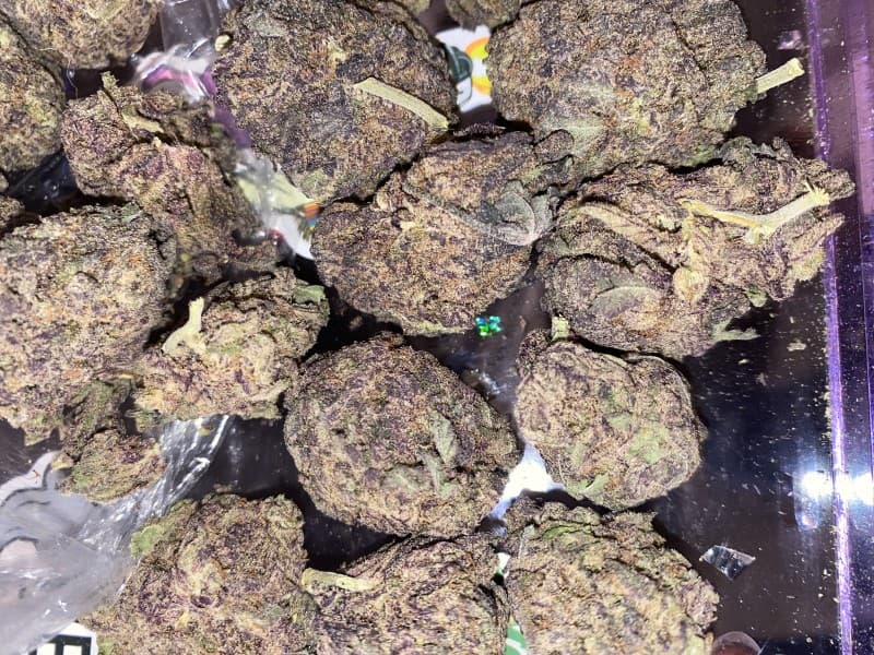 Designer OG cannabis strain, community photo 2