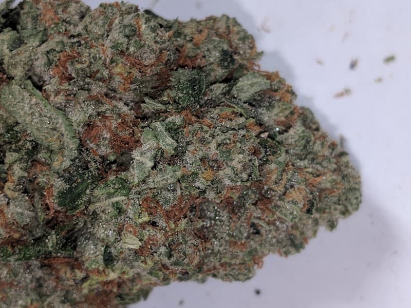 Diamond OG cannabis strain, community photo 2