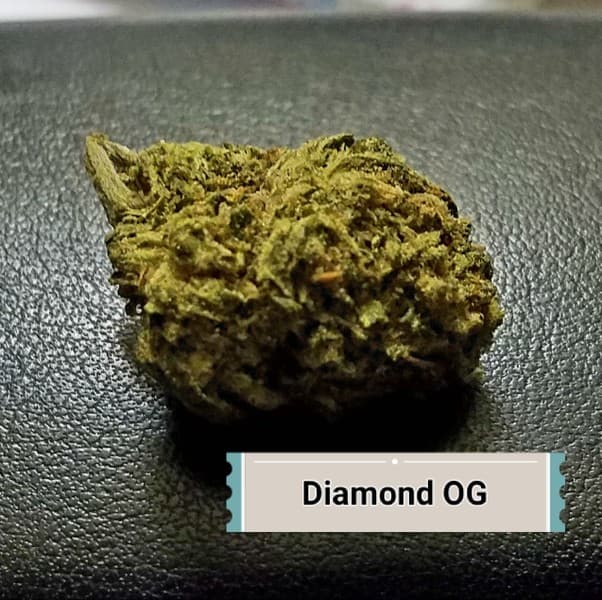Diamond OG cannabis strain, community photo 3