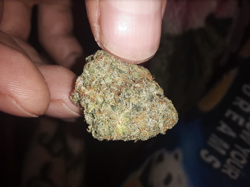 Diamond OG cannabis strain, community photo 5