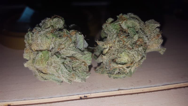 Diamond OG cannabis strain, community photo 6