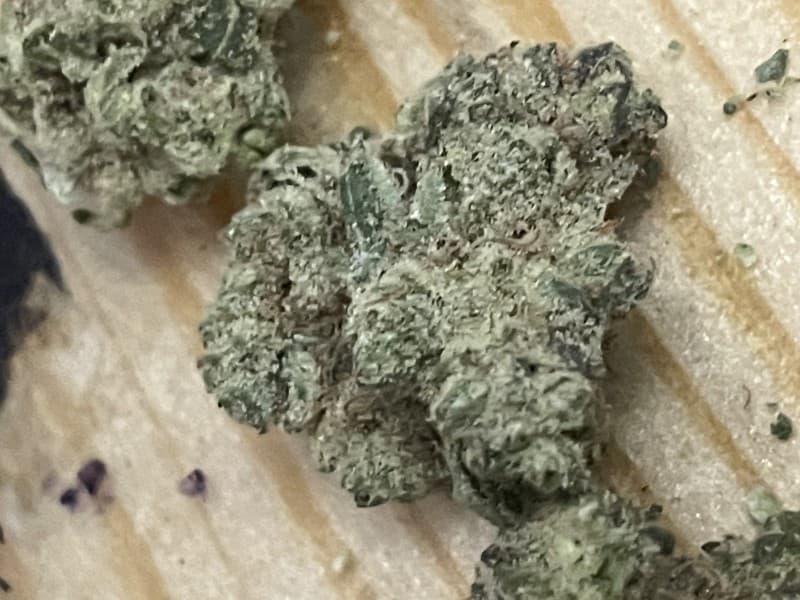 Dirty Taxi cannabis strain, community photo 1